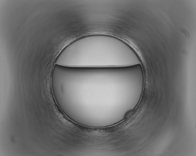 X0000114160385200910081138