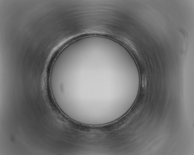 X0000114160388200910081138