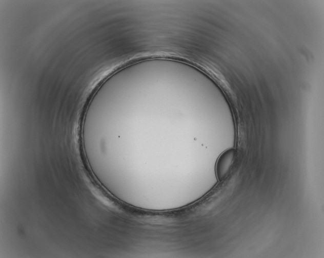 X0000114160389200910081138