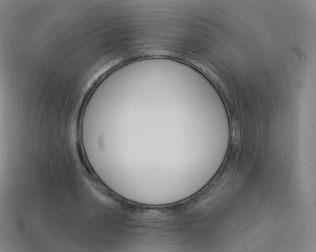 X0000114160390200910081138