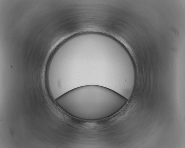 X0000114160391200910081138