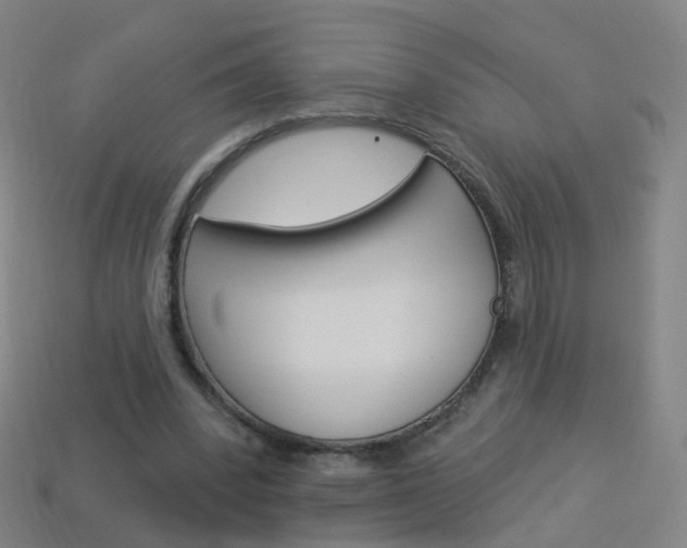 X0000114160392200910081138