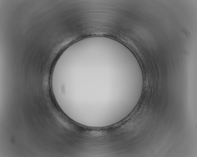X0000114160394200910081138