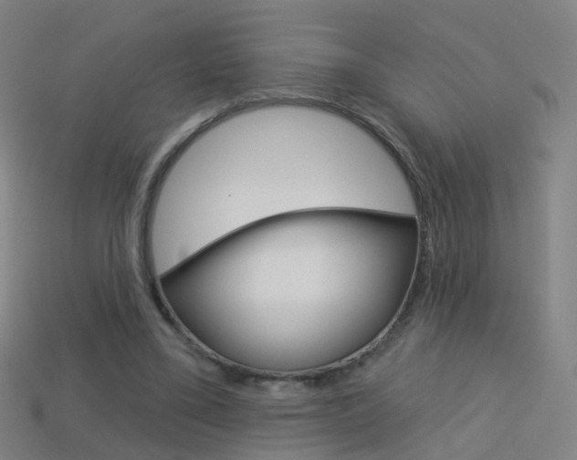X0000114160395200910081138
