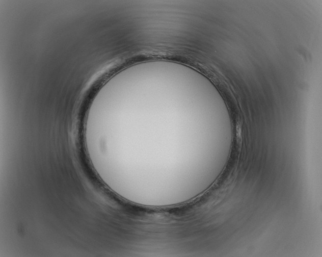 X0000114160396200910081138