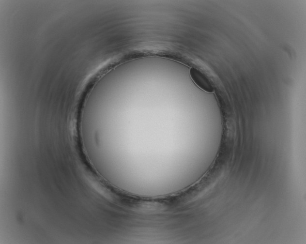X0000114160399200910081138