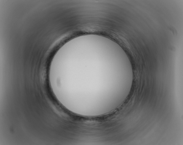 X0000114160400200910081138