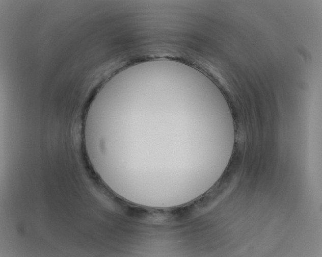 X0000114160402200910081138