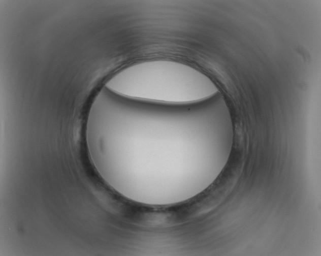 X0000114160404200910081138
