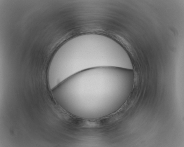 X0000114160405200910081138