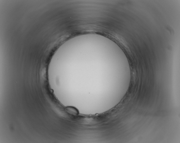 X0000114160406200910081138