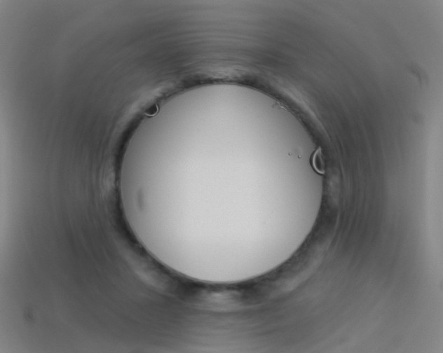 X0000114160407200910081138