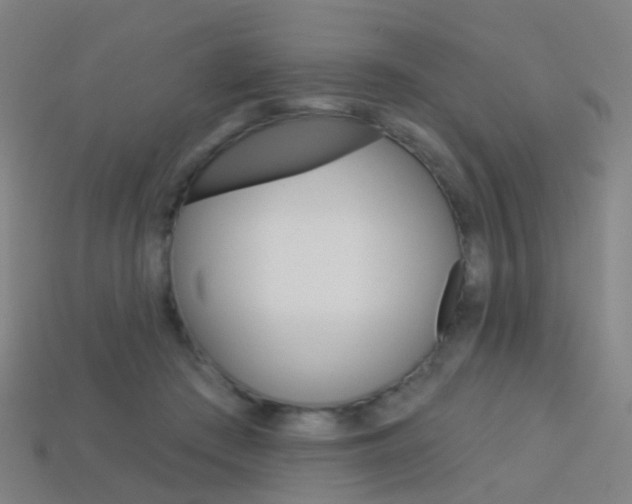 X0000114160409200910081138