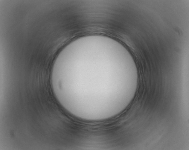 X0000114160411200910081137