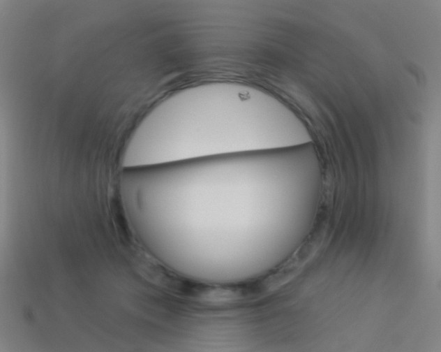 X0000114160413200910081137