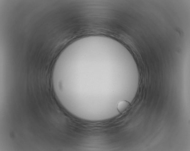 X0000114160415200910081137