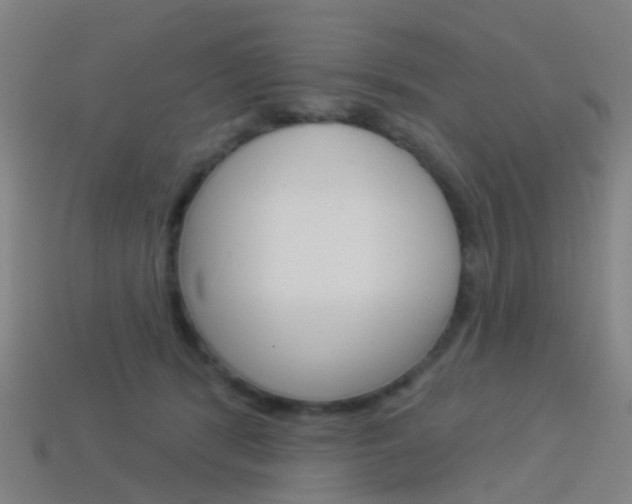 X0000114160416200910081137