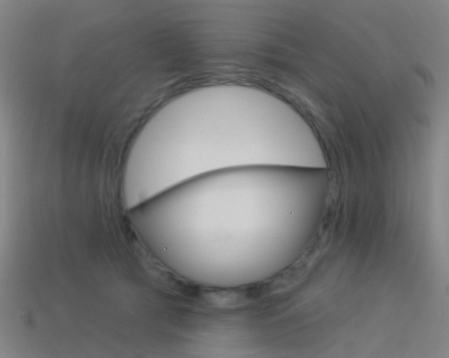 X0000114160417200910081137