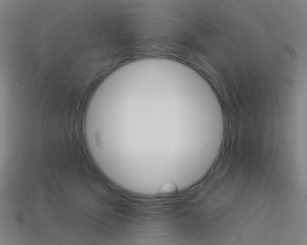 X0000114160419200910081137