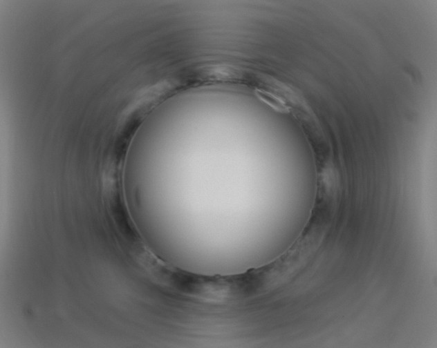 X0000114160423200910081137