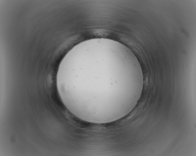 X0000114160424200910081137