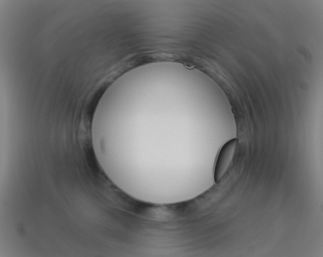 X0000114160425200910081137