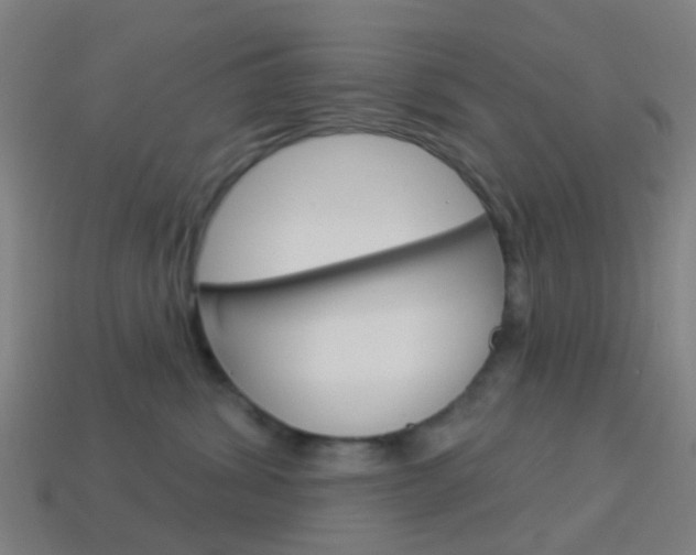 X0000114160428200910081137