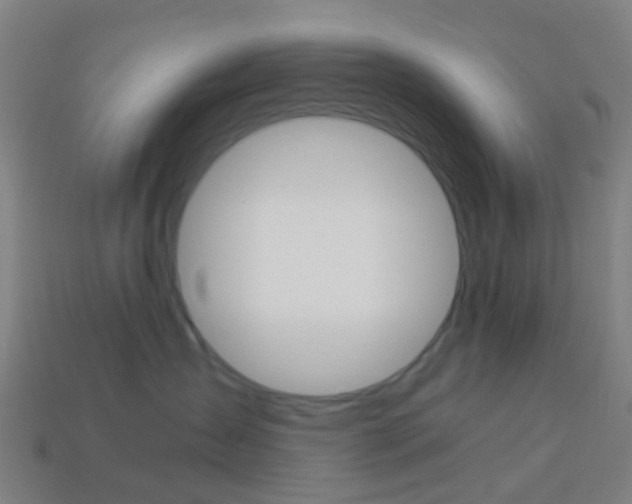 X0000114160431200910081137
