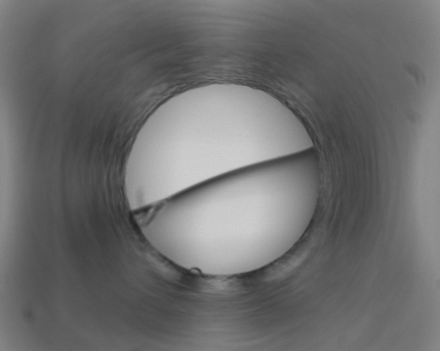 X0000114160432200910081137