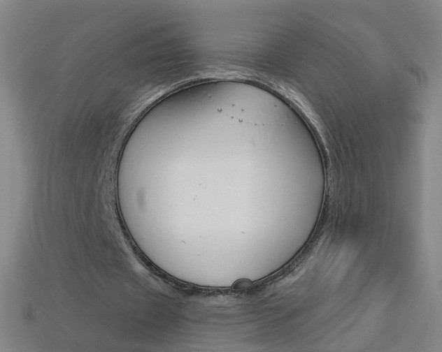 X0000114160433200910081137