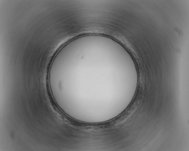 X0000114160434200910081137