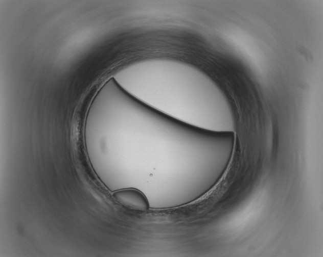X0000114160435200910081137