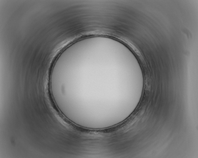 X0000114160437200910081137