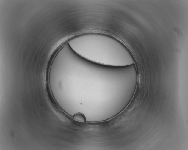 X0000114160438200910081137