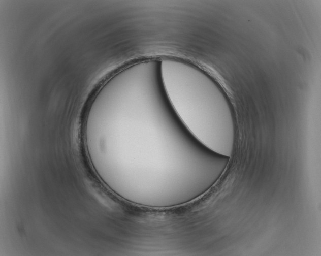 X0000114160439200910081137