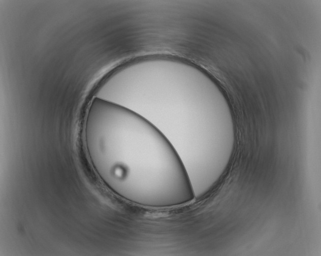 X0000114160440200910081137
