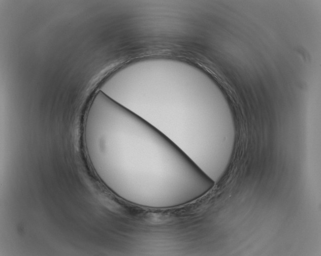 X0000114160442200910081137