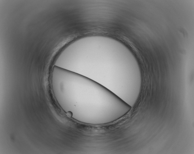 X0000114160443200910081137