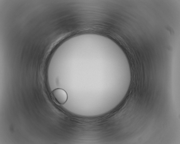 X0000114160444200910081137