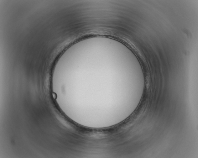 X0000114160445200910081137
