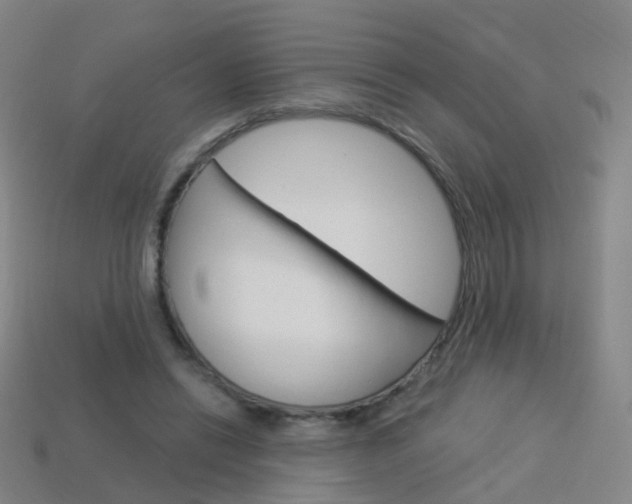 X0000114160446200910081137