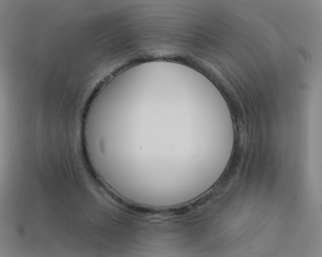 X0000114160447200910081137