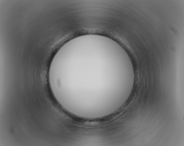 X0000114160450200910081137