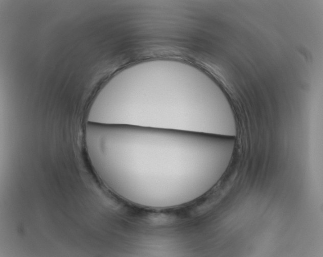 X0000114160453200910081137