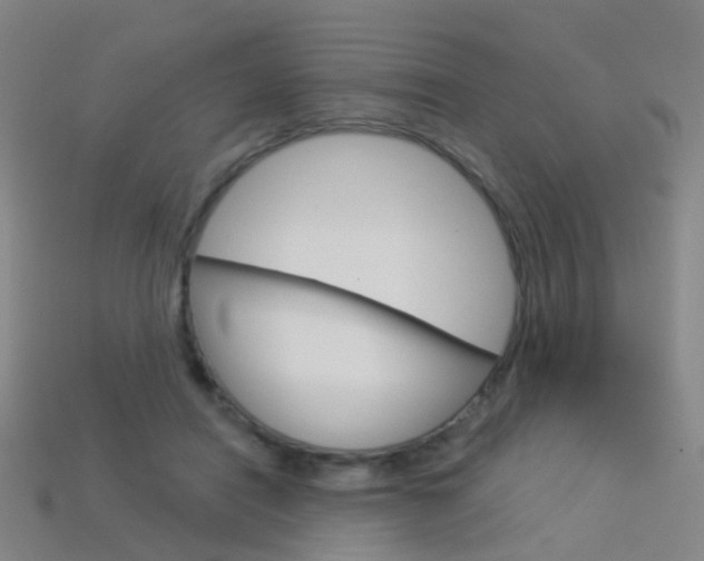 X0000114160454200910081137