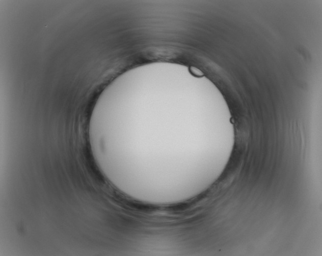 X0000114160460200910081137