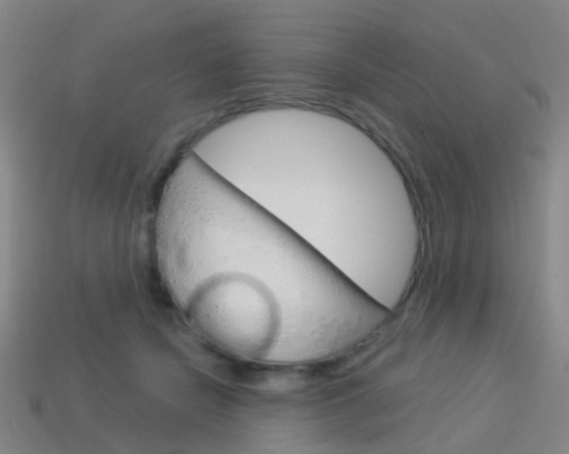 X0000114160462200910081137