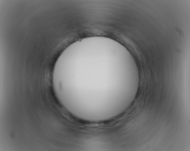 X0000114160465200910081137