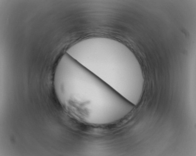 X0000114160466200910081137