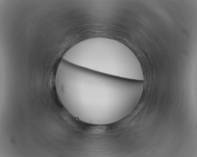 X0000114160474200910081137